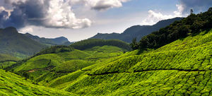 Munnar is Perfect for A Romantic Laid-Back Holiday