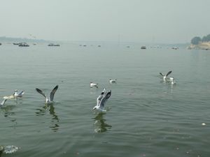 Triveni Sangam at Allahabad