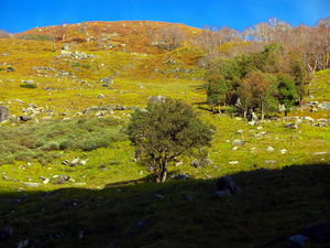 Why one should consider trekking to Hampta Pass in post monsoon season