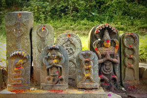 Nagaraja Temple 1/1 by Tripoto