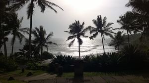 In Kerela... all you need is.... to be swept away!