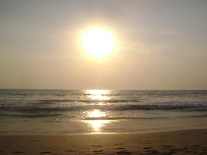 The Konkan Coast