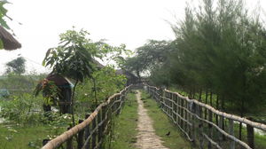 A weekend in Sundarbans