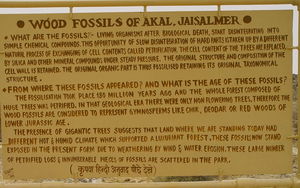 Into the Jurassic World – Akal Wood Fossil Park, Jaisalmer