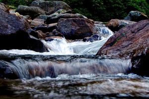 Trekking through Singaleela National Park