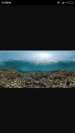 Coral reefs-Are there any chances of its revival