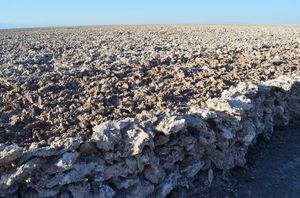 Salar de Atacama 1/1 by Tripoto
