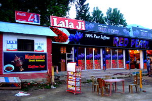 The Mini Switzerland of India in Kashmir