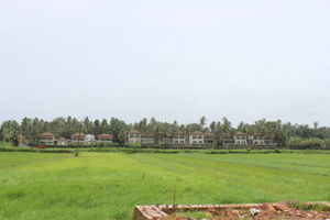 A Perfect Day in Goa