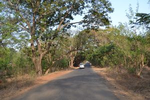 Finding places of solitude in Bombay in under Rs. 500