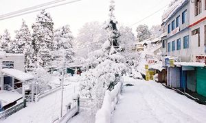 A New Year spent like never before!