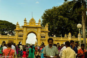 Deep within the Nilgiris.. Ooty via Mysore !!