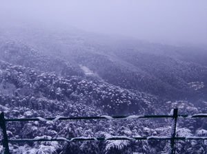Snowing shimla....