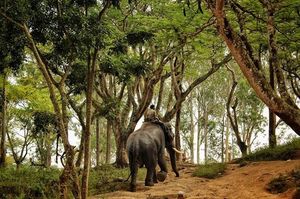 Coorg - Scotland of South India