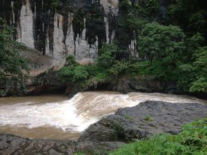 Dandeli - A walk with the nature