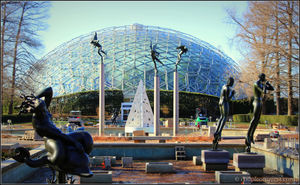 St Louis: What Shouldn’t Be Missed !!
