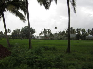 48 hours, South Goa and Rains!!!
