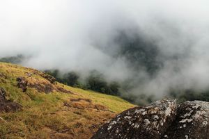 Heart Lake in Chembra- A Trek To Conquer & Propose Your Love