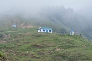 Wilderness in Palampur