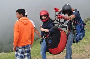 Wilderness in Palampur