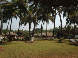 Goa: Let your Soul Fly