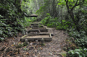 Places to Visit in Malaysia