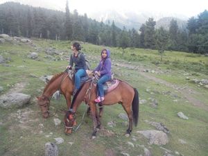 A Lonesome Flower and Brilliant Karan