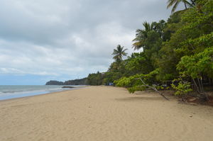 Four Nights in Beautiful Far North Queensland