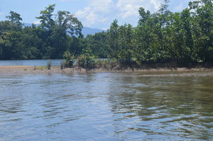 Bruce Belcher’s Daintree River Cruises 1/2 by Tripoto