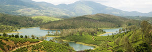 The lesser known attraction of Eastern Ghats!