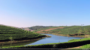 Enchanting Vagamon Hills of Kerala