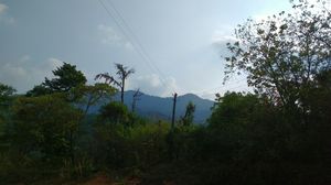 Road trip to dandeli through Western coast