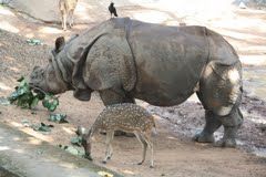 Trivandrum Zoo 1/2 by Tripoto