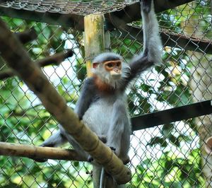 Vietnam Eco-Adventure Holidays