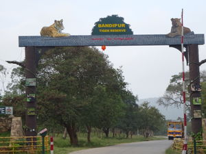 Travel Bug ! Ooty & Wayanad