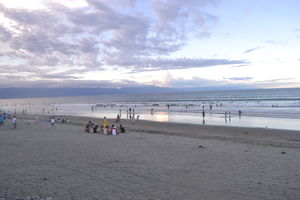 Baler | For the Love of Surfing