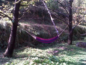 Peace at Raju's cottage