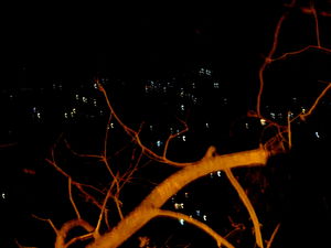 Night and Day @Kasuali