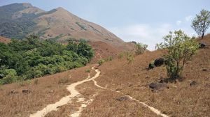 Kumara parvatha