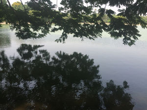 My favorites from my Kolkata diary