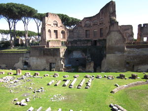 Palatine Hill 1/13 by Tripoto