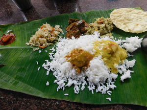 The mixed affair of a family trip to God 's own country amidst the strike (Part 1)