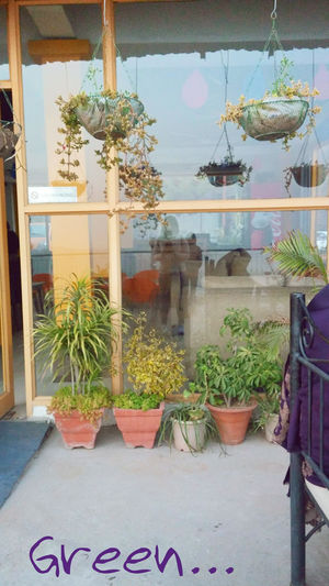 Day trip from Chandigarh