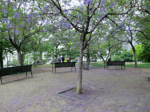 Angel's Knoll 1/1 by Tripoto