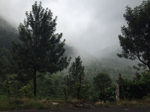 Fascinating Kerala