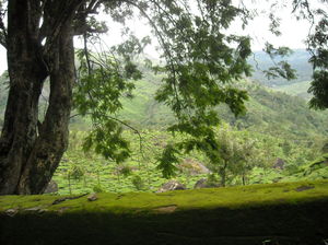 Picturesque Kerala