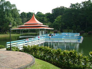 MacRitchie Reservoir 1/14 by Tripoto