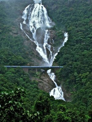 A 5 Day Travel Guide to Goa, India