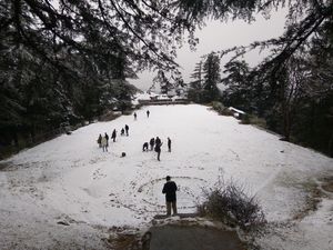 Escape to explore - Shimla-Manali-Kasol