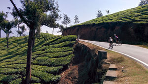 Highlights of Kerala - 6 Days (Daily)